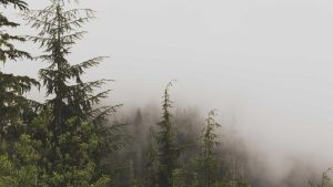 kabarnadi.id-21-v3.jpg